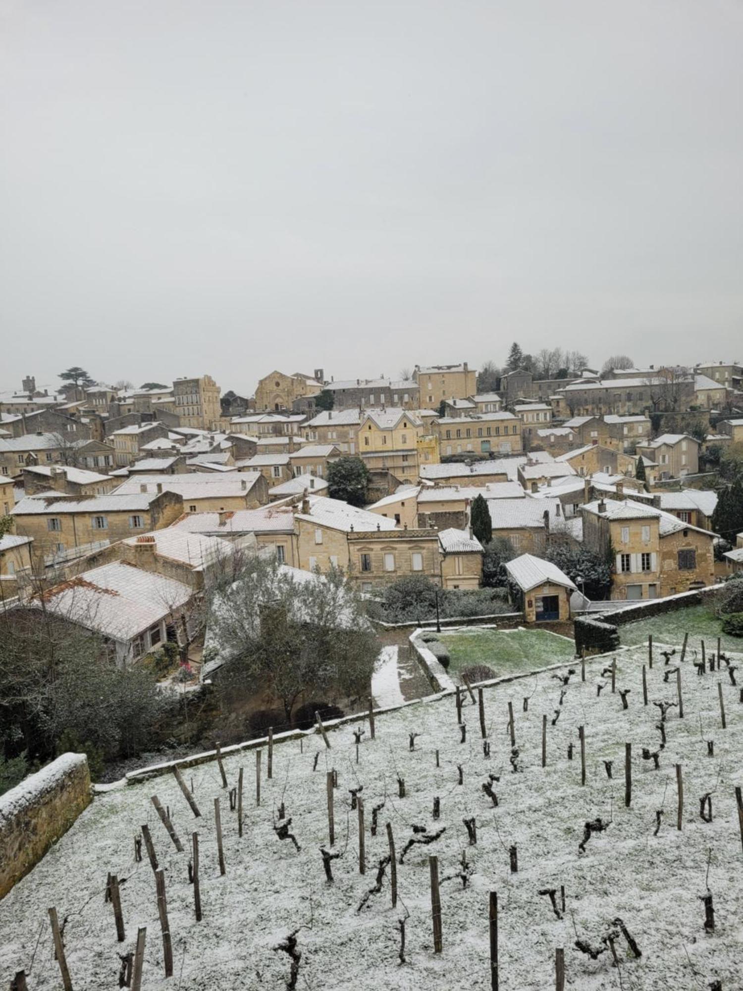 فندق La Maison Colline Saint-Émilion المظهر الخارجي الصورة