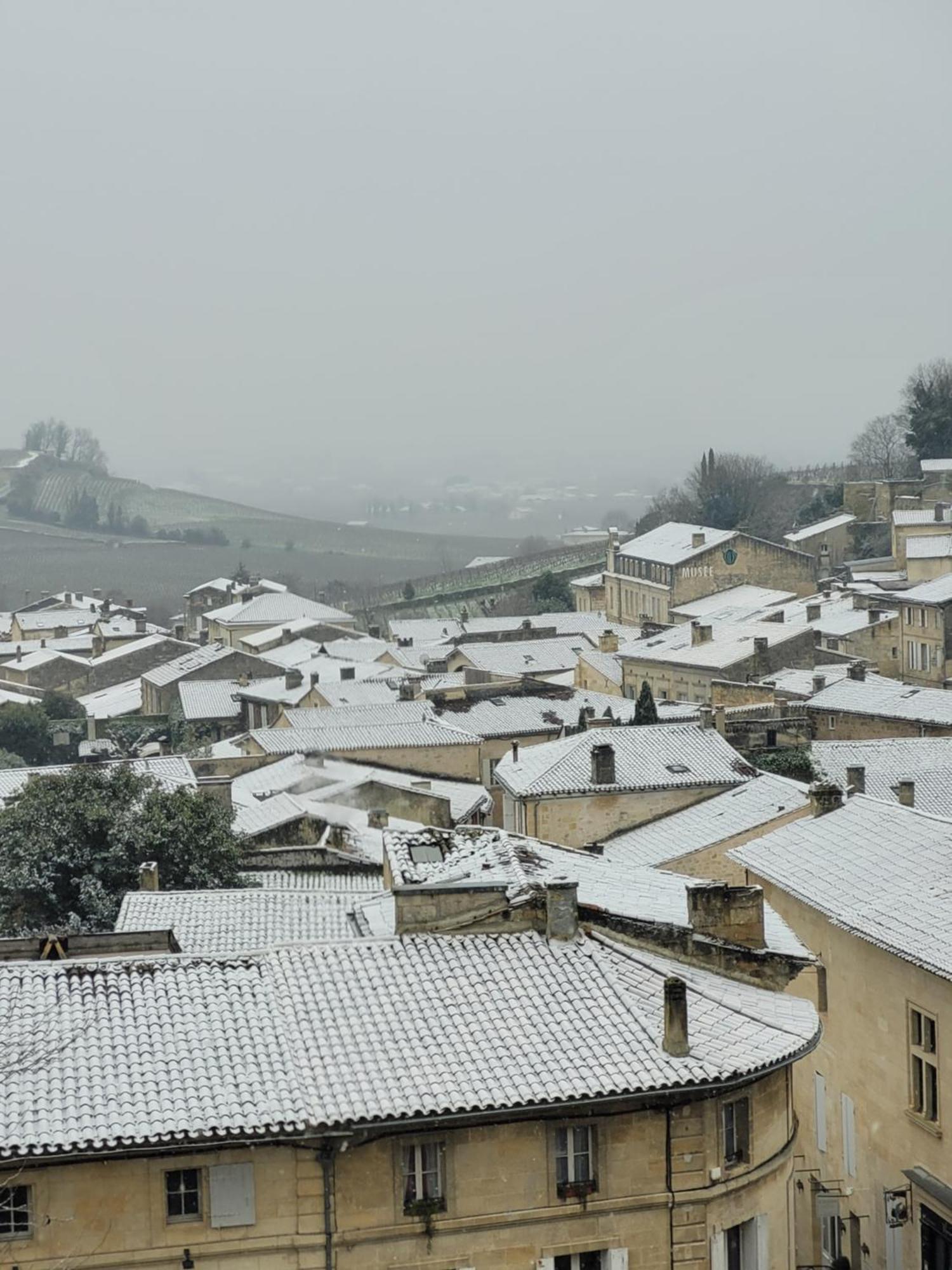 فندق La Maison Colline Saint-Émilion المظهر الخارجي الصورة